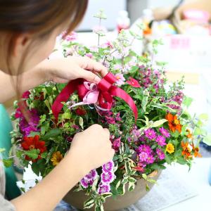 オプション ハンギング&寄せ植え専用 花うるる...の詳細画像2