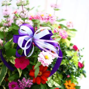オプション ハンギング&寄せ植え専用 花うるる...の詳細画像3