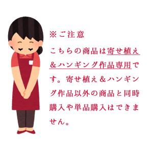 オプション ハンギング&寄せ植え専用 花うるる...の詳細画像5