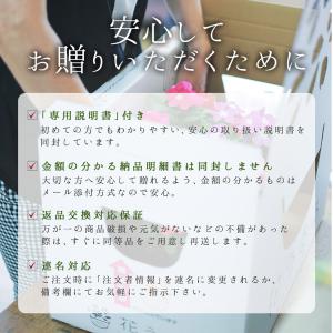 お試し ハンギングバスケット 寄せ植え [トレ...の詳細画像5