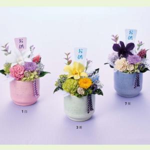 お値下げ品【1点限り】初夏の寄せ植え　バスケット　カンパニュラ ブルー×ホワイト ビオラのハンギングバスケット 花うるる 寄せ植え [ブルーレイン