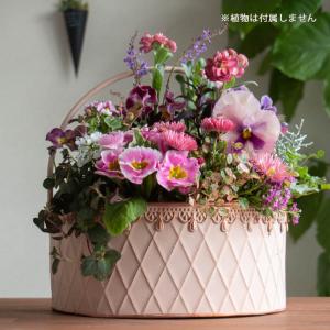 ◇花うるるオリジナル培養土・ミズゴケセットです◇「スリット