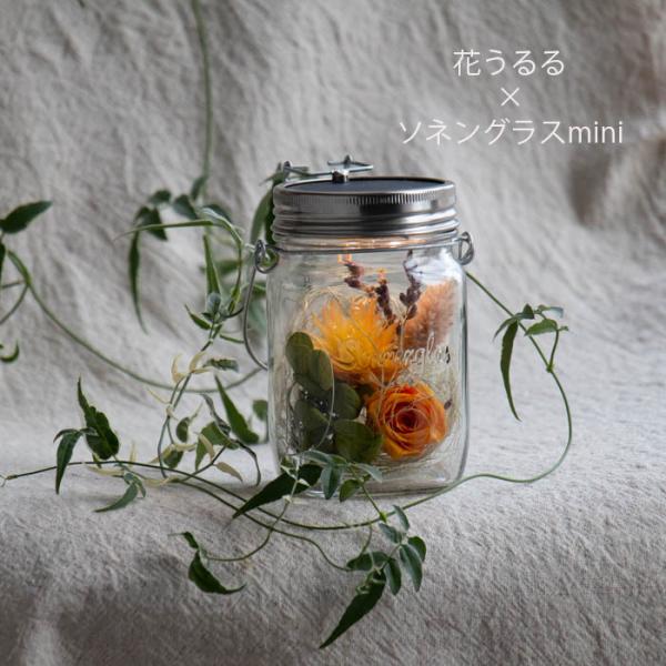 ソネングラスmini×花うるる『a』(正規代理店)(保証書付 新ソネングラス 250ml プレゼント...