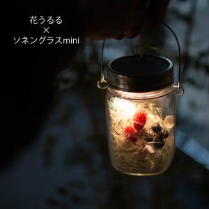 ＼即日発送OK／プレゼント ソネングラスmini×花うるる『カシスベリーmini』(保証書付 新ソネングラス 250ml ランタン インテリア プレゼント｜hanaururu