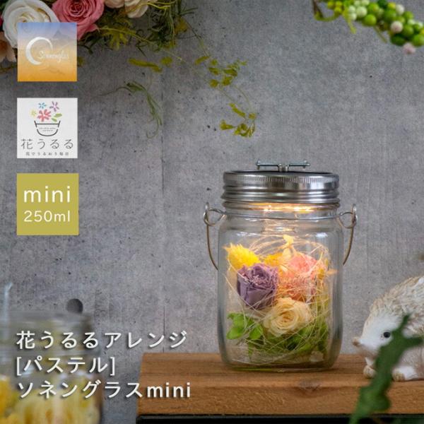 ＼防災グッズにも／プレゼント ソネングラスmini×花うるる『パステルmini』保証書 ランタン ラ...