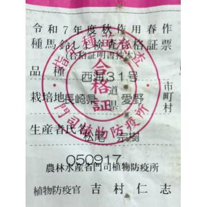 今期品薄 ＼マツコの知らない世界で特集/『じゃ...の詳細画像2