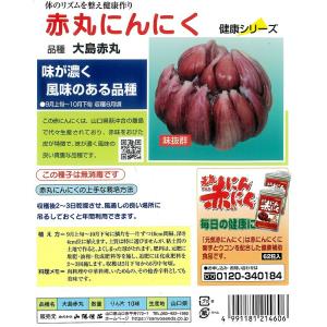 「 赤丸ニンニク (山口県産)種子 10リン片...の詳細画像2
