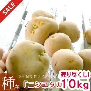 ＼売り尽くし処分／じゃがいも 種イモ「ニシユタカ 10kg」(長崎県産)＼マツコの知らない世界で特集／TVでも話題訳あり 種 ばれいしょ ジャガイモ｜hanaururu