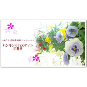 『花うるる ハンギング 寄せ植え 定期便』ゴー...の詳細画像1