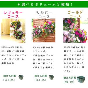 『花うるる ハンギング 寄せ植え 定期便』ゴー...の詳細画像2