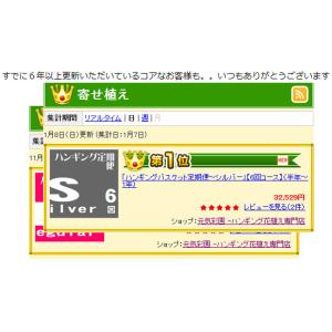 『花うるる ハンギング 寄せ植え 定期便』ゴー...の詳細画像5