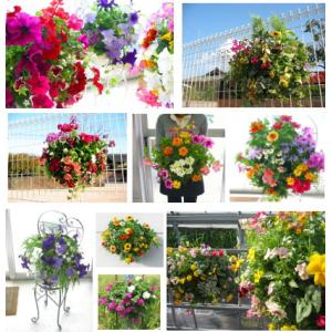 『花うるる ハンギング 寄せ植え 定期便』ゴー...の詳細画像1