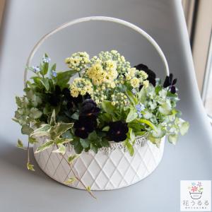 綱木紋(つなきもん) 鉢『Sスリット』(ギャザリング/寄せ植え/鉢/植木鉢