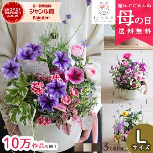 花うるるの母の日2025特集♪ PayPayが貯まるYahoo店！ハンギング寄せ