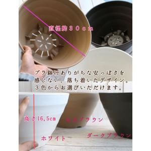 ビオラの寄せ植え[いちごショート(プランターv...の詳細画像3