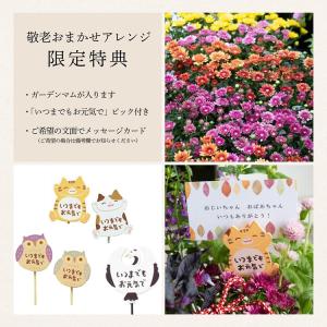 ＼まだ間に合う敬老の日ギフト/ 花うるる 寄せ...の詳細画像3