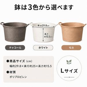 ＼まだ間に合う敬老の日ギフト/ 花うるる 寄せ...の詳細画像4