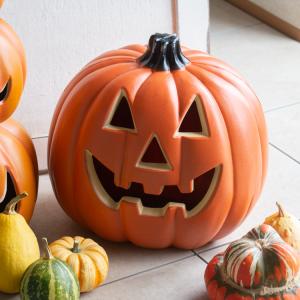 ミニかぼちゃ/おまかせ5個セット』ハロウィン 飾り 種類 mix