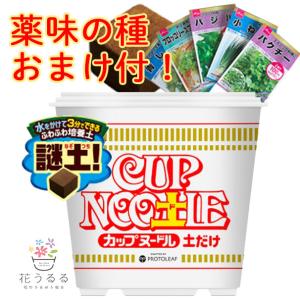 ＼野菜のタネ2袋おまけ／水をかけて3分 日清『カップヌードル 土だけ 』カップヌー土ル 栽培 家庭菜園 苗 初心者 栽培キット 栽培セット ブロッコリースプラウト