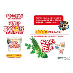 ＼野菜のタネ2袋おまけ/水をかけて3分 日清『...の詳細画像2