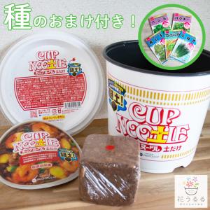 ＼野菜のタネ2袋おまけ/水をかけて3分 日清『...の詳細画像4