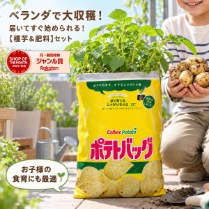 最終売り尽くし＼マツコの知らない世界で特集／ じゃがいも 種イモ「ふ