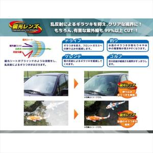 Coleman コールマン CM-4005 ス...の詳細画像4