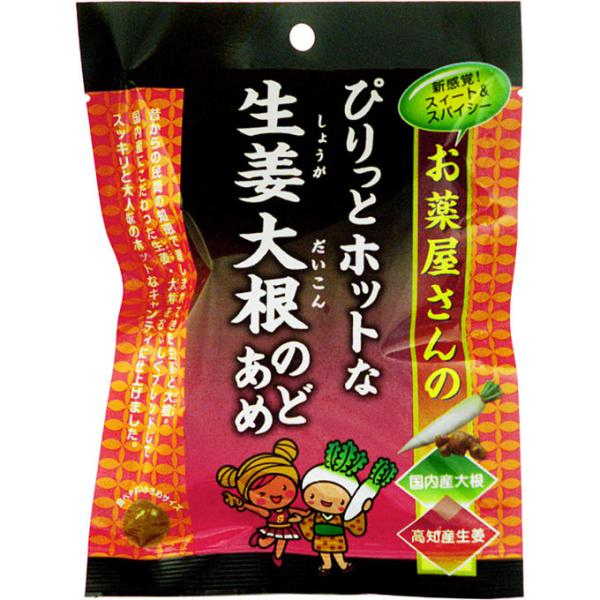 【2個セット】奥田薬品 お薬屋さんのぴりっとホットな生姜大根のどあめ  (4971159014858...