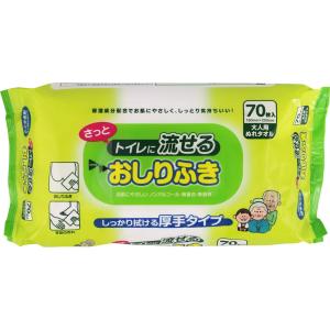 流せるおしりふき大人用 70枚 (4974580350021)
