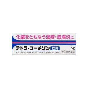 【第(2)類医薬品】伊丹製薬 テトラ・コーチゾン軟膏 5g【メール便発送】