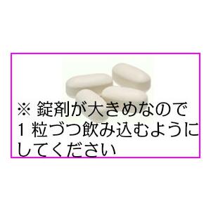 エクエル 112粒 3個セット (28日分目安...の詳細画像1