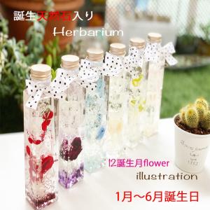 ハーバリウム 誕生石入り150ml 送料無料 1月から6月ケース・バラ入浴剤付き