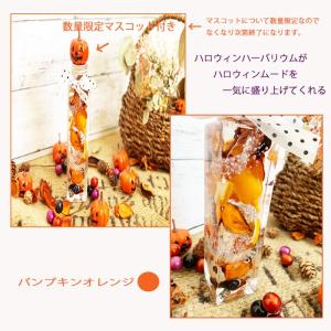 ハロウィンハーバリウム マスコット付き ギフト...の詳細画像2