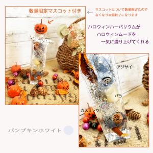 ハロウィンハーバリウム マスコット付き ギフト...の詳細画像3