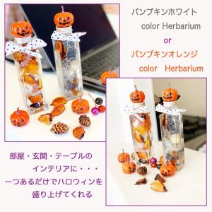 ハロウィンハーバリウム マスコット付き ギフト...の詳細画像4