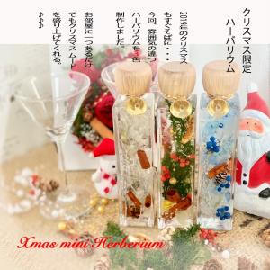 christmas herbarium 3colorの詳細画像1