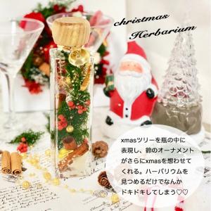 christmas herbarium 3colorの詳細画像2