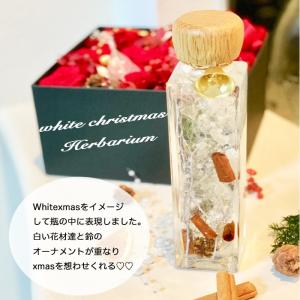 christmas herbarium 3colorの詳細画像3
