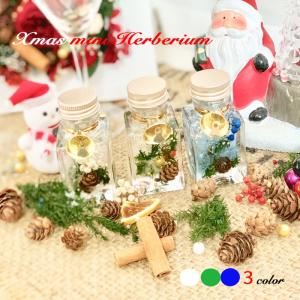 クリスマスミニハーバリウム３ color