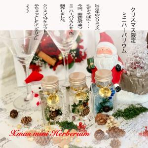 クリスマスミニハーバリウム3 colorの詳細画像1