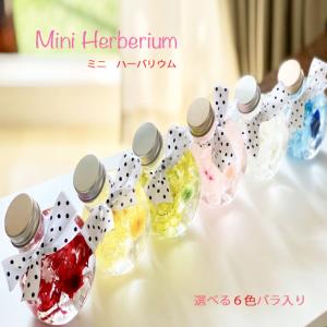 ハーバリウムミニ ボトル 送料無料 ６color 青 黄 緑 赤 ピンク 白 プチギフト 可愛い100ml 入学 卒業 バレンタインデー ドライフラワー
