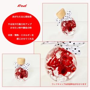 ハーバリウムミニ ボトル 送料無料 6colo...の詳細画像2