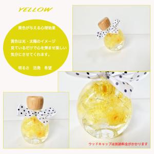 ハーバリウムミニ ボトル 送料無料 6colo...の詳細画像3