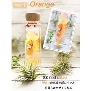ハーバリウム3color 可愛いウッドキャップ付きの詳細画像1