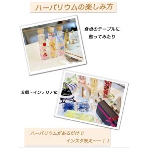 ハーバリウム3color 可愛いウッドキャップ付きの詳細画像5