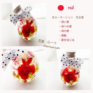 母の日 花 ギフト 2020 選べるミニハーバ...の詳細画像1