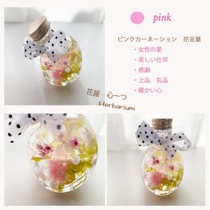 母の日 花 ギフト 2020 選べるミニハーバ...の詳細画像2