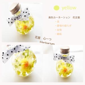 母の日 花 ギフト 2020 選べるミニハーバ...の詳細画像3