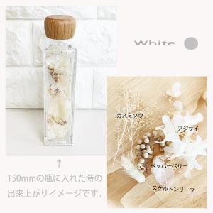 ハーバリウム 花材 青 白 黄 赤 ピンク ド...の詳細画像2