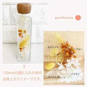 ハーバリウム 花材 青 白 黄 赤 ピンク ド...の詳細画像3